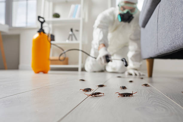 Commercial Kitchen Cockroach Control in Glenshaw